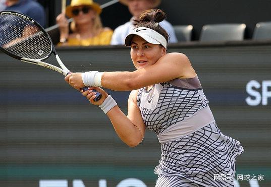 了显著效果 了显著效果