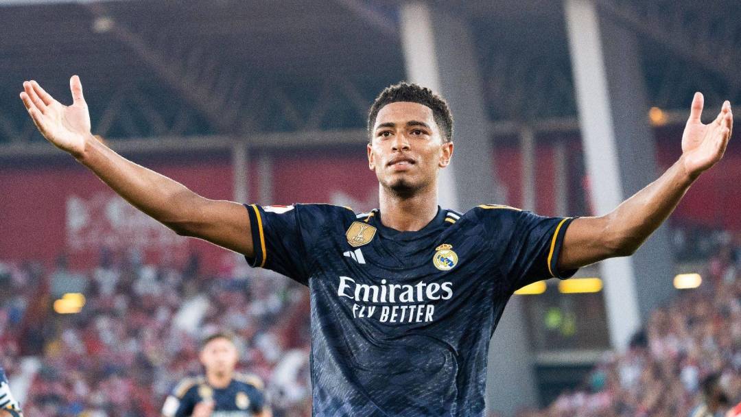 极端粉丝的 极端粉丝的